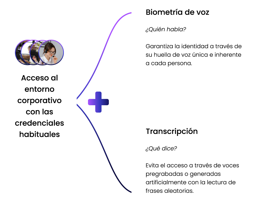 IMAGEN-02